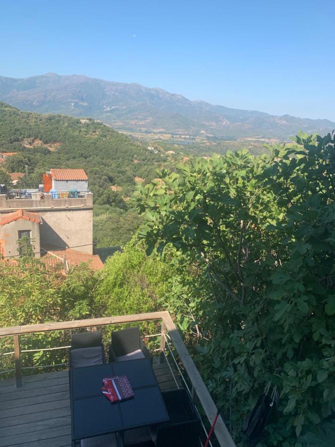 Maison Typique Corse 奥莱塔 外观 照片